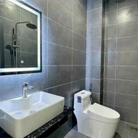 Bán Nhà Biệt Thự Mini Tân Cổ Điển Thiết Kế Hiện Đại