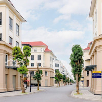 Bán Nhanh Biệt Thự San Hô View Hồ Tạo Sóng Đường 20M Giá Rẻ Nhất Vin 2