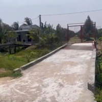 Bán Vườn Sầu Riêng 7187M2 Đt 926 - Ấp Trường Thọ - Trường Long - H, Phong Điền(Cách Cầu Kh9 2,5Km)