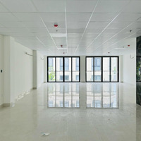 Nhà Đường Hoa Đào 8X18M Hầm Trệt 3 Lầu Sàn Suốt, Cho Thuê