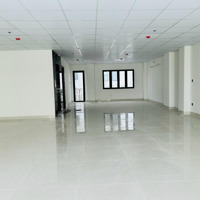 Nhà Đường Hoa Đào 8X18M Hầm Trệt 3 Lầu Sàn Suốt, Cho Thuê