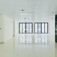 Nhà Đường Hoa Đào 8X18M Hầm Trệt 3 Lầu Sàn Suốt, Cho Thuê