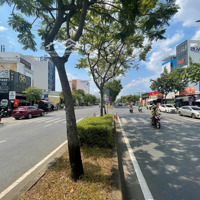 Cho Thuê 3000M2 Nhà Đất Đường Trần Não Phường An Khánh Quận 2 Chỉ 300 Triệu/Tháng