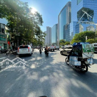 Cực Tốt! Phân Lô Nguyễn Chánh, Vị Trí Vàng, Lô Góc 2 Mặt Tiền Ôtô Tránh Đỗ, Vỉa Hèmặt Tiềnrộng Kd Đỉnh