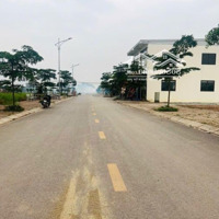 Bán Đất Nền Vĩnh Khúc, Văn Giang, Hưng Yên, Giá Thỏa Thuận, 132.8M2