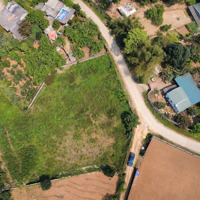 Chính Chủ Cần Bán Mảnh Đất Vàng 2568M2, Có 400M2 Ont Tại Xã Bình Sơn, Huyện Kim Bôi, Hoà Bình