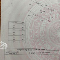 Bán Đất Thổ Cư Tại An Vĩnh, Lý Sơn, Quảng Ngãi, 1,6 Tỷ, 192M2 - Chính Chủ, Hot!
