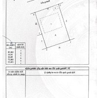 Bán Kho, Nhà Xưởng Tại Xã Tam An, Long Thành, Đồng Nai, Giá Ưu Đãi Chỉ Với 130 Tỷ, 15000 M2
