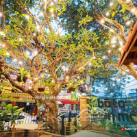 Cho Thuê Nhà Mặt Phố Chùa Bộc 44M X 4 Tầng,Mặt Tiền3.3M, Giá Chỉ 60 Triệu/Th Trung Tâm Thời Trang Đống Đa