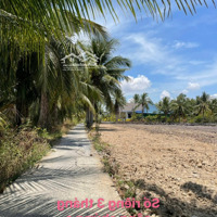 160 Triệu Đất Vườn Sẵn Thổ Cư Cách Tphcm Chỉ 80Km Tại Tân Phú Đông, Tiền Giang
