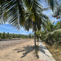 160 Triệu Đất Vườn Sẵn Thổ Cư Cách Tphcm Chỉ 80Km Tại Tân Phú Đông, Tiền Giang