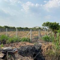 Hết nhu cầu bán đất vườn nhãn ngay mặt tiền ĐT784 vào (27x73)2000m2 đã được lên thổ cư sẵn sổ