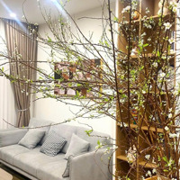 Bán Gấp Căn Hộ 3 Phòng Ngủ+ 2 Vệ Sinhtoà Sa5 Tại Vinhomes Smart City, 8,5 Tỷ, 94M2
