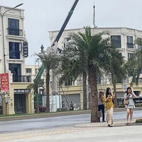 Bán Gấp Biệt Thự 180M2 Pk Hoàng Gia Tại Vinhomes Royal Island, Thủy Hà, Hải Phòng, 16 Tỷ Vnd