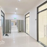 Shophouse Chân Đế Chung Cư Sở Hữu Lâu Dài, Cho Thuê Ổn Định, 37.78 M2, Hot! Hàng Hiếm Tại Hà Đông