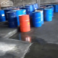 Cho Thuê Kho Xưởng Mặt Tiền Trần Đại Nghĩa, Giá Siêu Rẻ, Gọi Ngay Để Chốt