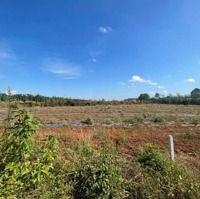 Bán 2000M2 Đất Vườn Tai Đá Bạc Châu Đức, Khu Dân Cư, Đường Nhựa Thông 6M, Giá 900 Triệu/Sào