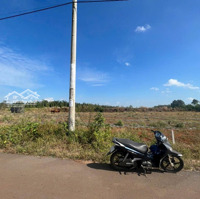 Bán 2000M2 Đất Vườn Tai Đá Bạc Châu Đức, Khu Dân Cư, Đường Nhựa Thông 6M, Giá 900 Triệu/Sào