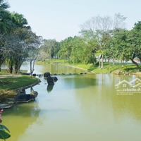 Chuyển Nhượng Quỹ Căn Mới Nhất Xanh Villas, Cả 3 Khu Abc, Diện Tích Từ 230 - 300 - 600 - 800M2.