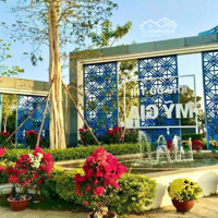 Chủ Cần Bán Nhanh Lô Đất Mỹ Gia Sạch Đẹp, Thích Hợp Xây Nhà Ở Giá Chỉ 33 Triệu/M2 Bao Hết