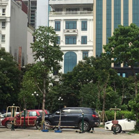 Bán Np Tại Phố Cầu Gỗ, Giá Thỏa Thuận, 104M2, Hàng Hiếm Cho Giới Trẻ