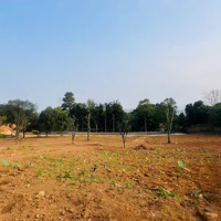 Sở Hữu Mảnh Đất Nghỉ Dưỡng Hiếm Có Tại Lương Sơn - View Toàn Cảnh, Tiềm Năng Sinh Lời Cao!