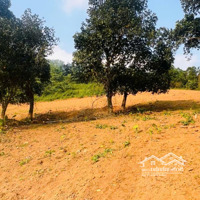 Sở Hữu Mảnh Đất Nghỉ Dưỡng Hiếm Có Tại Lương Sơn - View Toàn Cảnh, Tiềm Năng Sinh Lời Cao!