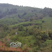 Cần Bán Mảnh Đất Hơn 6Ha, Mặt Tiền Bám Suối, Có Đủ Các Loại Đất Trong Sổ, Giao Thông Thuận Tiện