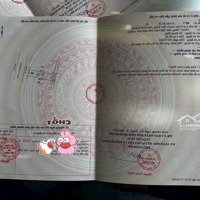 Đất Kcn Thành Phố Hồ Chí Minh Giá Nông Thôn