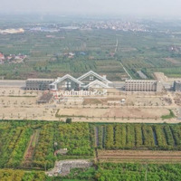 Dự Án Bình Minh Phố Hiến Giữ Chỗ Chỉ Từ 50 Triệu Đồng