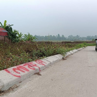 Bán Đất Tại Đồng Lai, Hiền Ninh, Sóc Sơn, Hà Nội, 30 Triệu, 75 M2