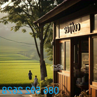 Cho Thuê Kho, Nhà Xưởng 250M2 Tại Đồng Tâm, Vĩnh Yên, Vĩnh Phúc, Giá Tốt