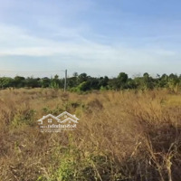 Bán 105M2 Đất Hàng Gòn, Long Khánh. Kdc, Đường Xe Hơi,Sổ Riêng Thổ Cư.