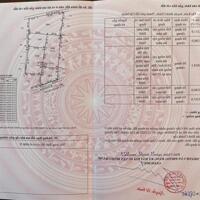 CẦN BÁN NHANH ĐẤT TẠI HƯNG NHƠN, BÌNH CHÁNH, TP. HỒ CHÍ MINH