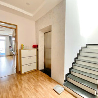 Nhà Nguyễn Đình Chiểu, Phường 4, Quận 3. Diện Tích 3.3M X 11M. Kết Cấu 3 Tầng, Giá Bán 8 Tỷ 8.