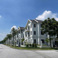 Bán Biệt Thự Tại Times Garden Vĩnh Yên, 10,6 Tỷ, 145,4 M2, Khai Quang, Vĩnh Phúc