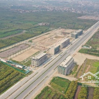 Dự Án Phố Hiến Lần Đầu Tiên Xuất Hiện Dòng Liền Kề Biệt Thự Shophouse Cao Cấp