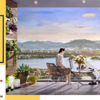 Căn Studio View Sông Sun Cosmo Chủ Bán 2 Tỷ 2 Tl, Rẻ Nhất Thị Trường