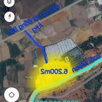 Bán Đất Bám Suối Mộc Châu  6.200m² Đẹp Chuẩn Làm Homestay, Nghỉ Dưỡng, Farmstay giá chỉ 3.2 Tỷ