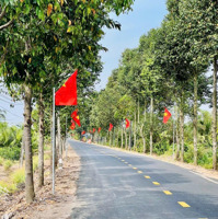 Bán Đất Nền 300M2 Tại Đường Ấp 10, Xã Lương Hòa, Bến Lức, Long An, Giá 10 Triệu/M2