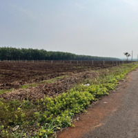 Loại Đất Vườn, Sổ Riêng, Chính Chủ