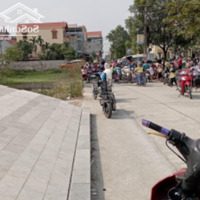 Cơ Hội Đầu Tư Hiếm: 196M² Đất Cực Đẹp Tại Trung Tâm Chỉ Đạo Văn Lâm Gần Ocean Park