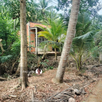 Miếng Đất Gần Chợ Đông Thành, Đức Huệ Cần Bán Nhanhdiện Tích146M2 Chỉ 420 Triệu Có Sổ Hồng Riêng