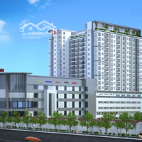 Bán Căn Hộ Tầng Cao Biconsi Tower, Tất Cả Tiện Ích Trong Tầm Tay.