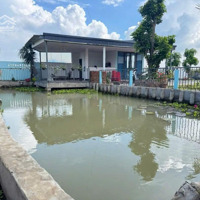 999 Triệu Nhà Vườn View Nét Tại Phước Tân Hưng - Châu Thành - Long An
