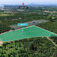 249 Triệu Đất Thổ Cư Tân Văn, Lâm Hà, Lâm Đồng.diện Tích: 147M2 ( 5X31M )