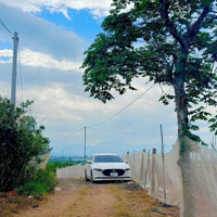 249 Triệu Đất Thổ Cư Tân Văn, Lâm Hà, Lâm Đồng.diện Tích: 147M2 ( 5X31M )