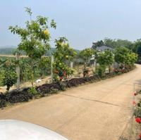 Bán Đất Nền 1263 M2 Tại Đt 86, Ba Trại, Ba Vì, Hà Nội, 4,5 Triệu / M2