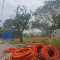 Bán Nhanh 100M2 Đất Đường 12M Ngay Liên Phường Giao Bưng Ông Thoàn Quận 9 Giá Bán 7,1 Tỷ
