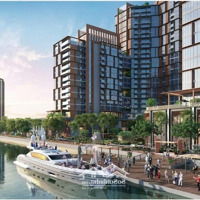 Căn Studio View Công Viên 5000M2, Tầng 14 Chỉ Từ 900 Triệu, Nh Hỗ Trợ 70%, 0% Lãi Suất Đến T1/2027